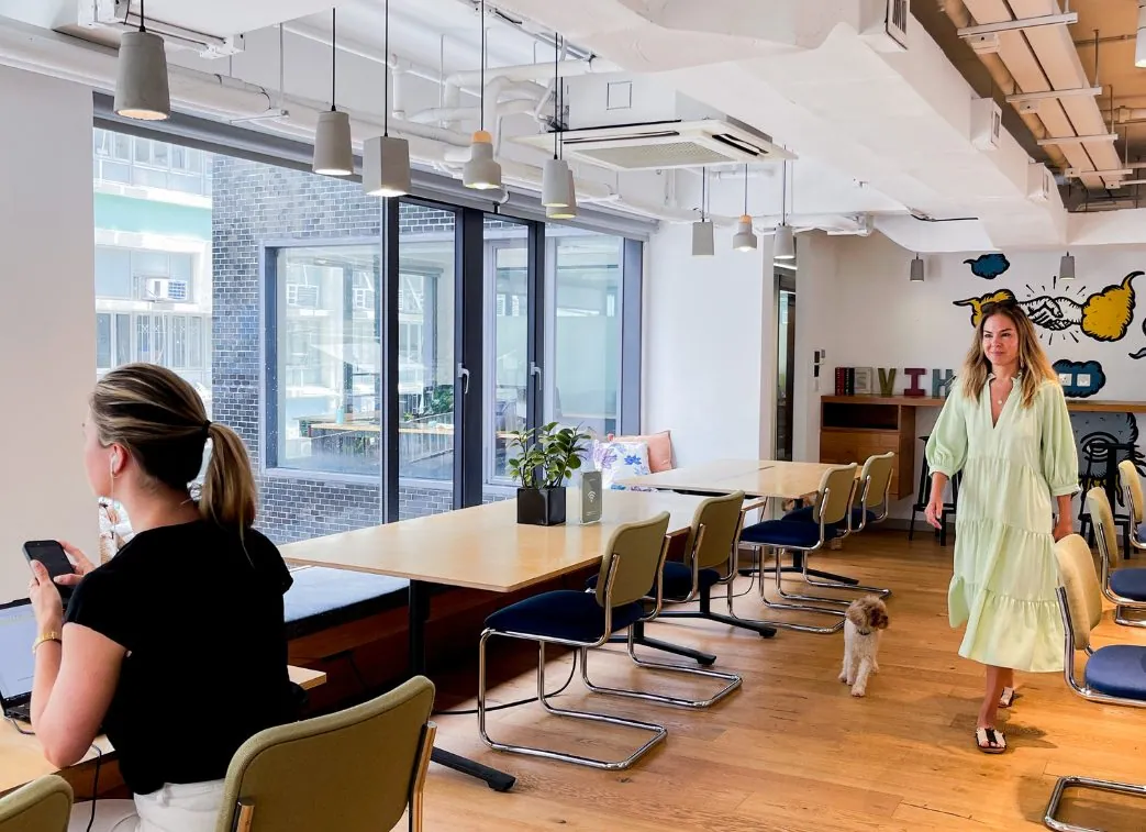 The Hive at Poho, Sai Ying Pun, photo 4