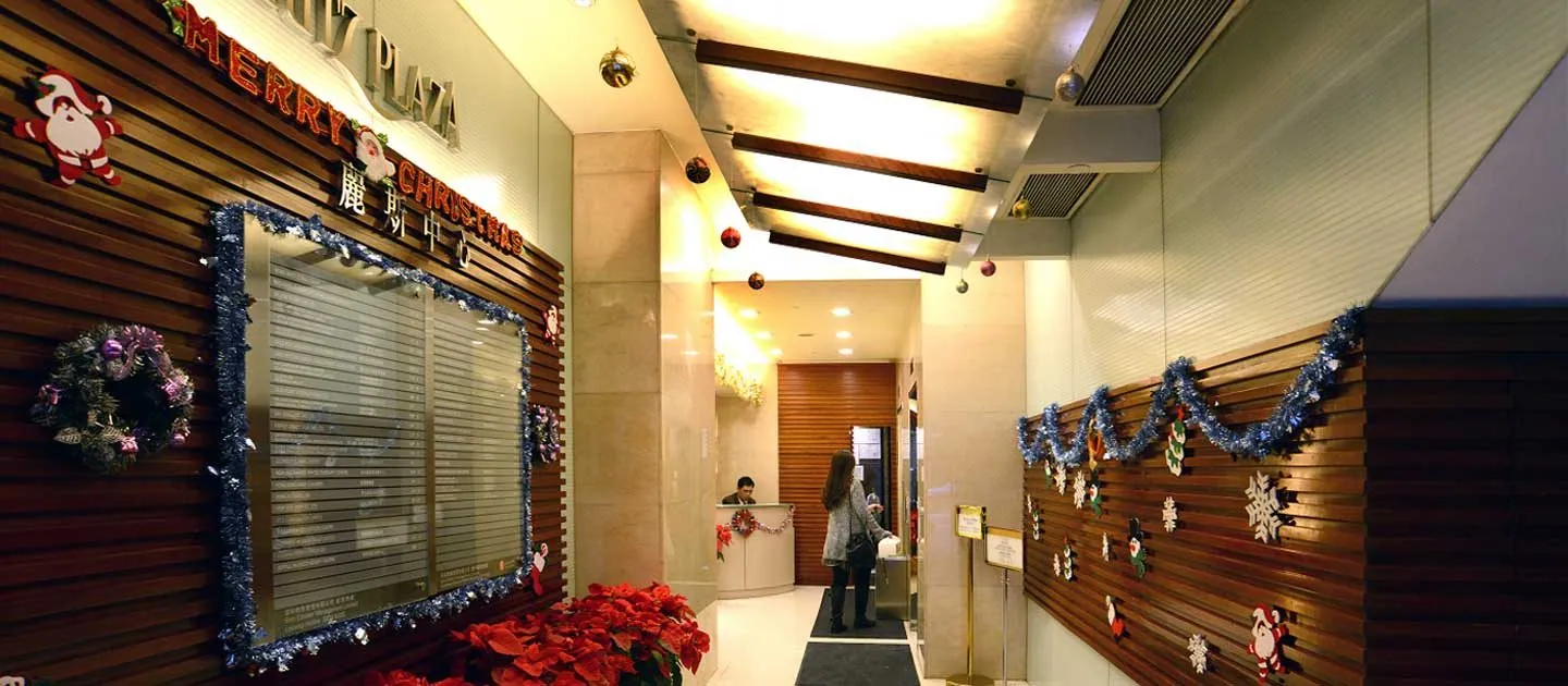 Capital Business Centre at Ritz Plaza, Tsim Sha Tsui, photo 3